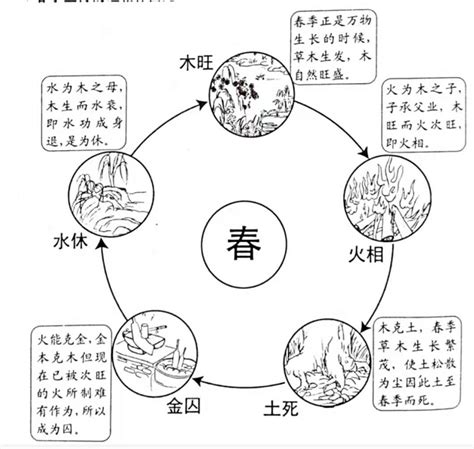 五行旺相休囚死|五行旺相休囚详细解释